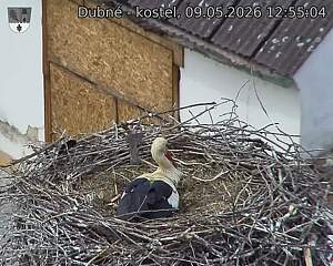 preload