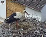 Capi_Dubne_20260509_131503.jpg