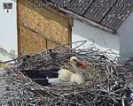 Capi_Dubne_20260509_134004.jpg