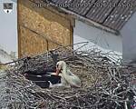 Capi_Dubne_20260509_134502.jpg