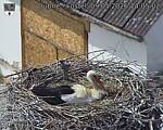 Capi_Dubne_20260509_140502.jpg