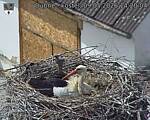 Capi_Dubne_20260509_142004.jpg