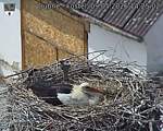 Capi_Dubne_20260509_142502.jpg