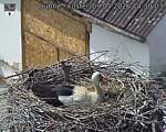 Capi_Dubne_20260509_143003.jpg