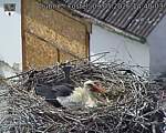 Capi_Dubne_20260509_144003.jpg