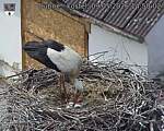 Capi_Dubne_20260509_145002.jpg
