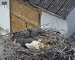 Capi_Dubne_20260509_145503.jpg