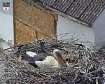 Capi_Dubne_20260509_150502.jpg
