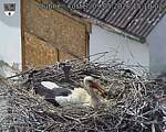 Capi_Dubne_20260509_151002.jpg