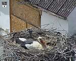 Capi_Dubne_20260509_151502.jpg