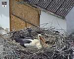 Capi_Dubne_20260509_152003.jpg
