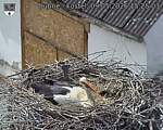 Capi_Dubne_20260509_152503.jpg