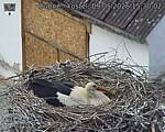 Capi_Dubne_20260509_153002.jpg