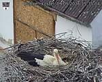 Capi_Dubne_20260509_153504.jpg
