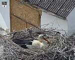 Capi_Dubne_20260509_154004.jpg