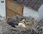 Capi_Dubne_20260509_154502.jpg