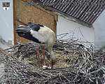 Capi_Dubne_20260509_160002.jpg