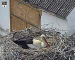 Capi_Dubne_20260509_160503.jpg
