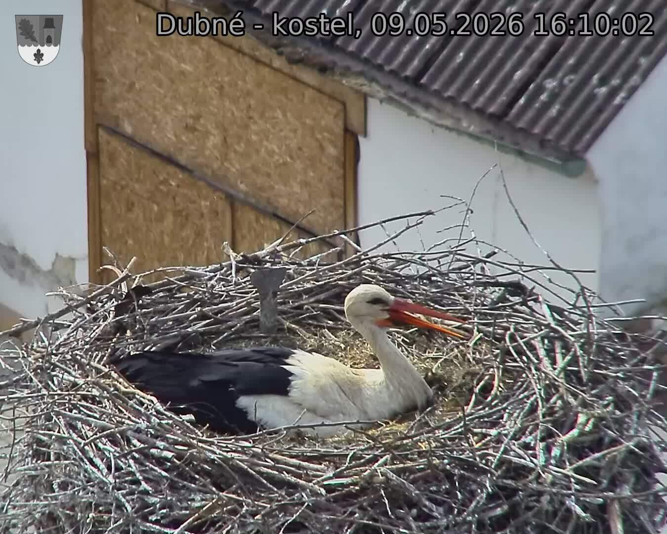 Capi_Dubne_20260509_161002.jpg (1350&nbsp;x&nbsp;1080)