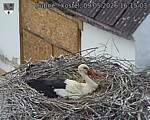 Capi_Dubne_20260509_161503.jpg