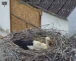Capi_Dubne_20260509_162003.jpg