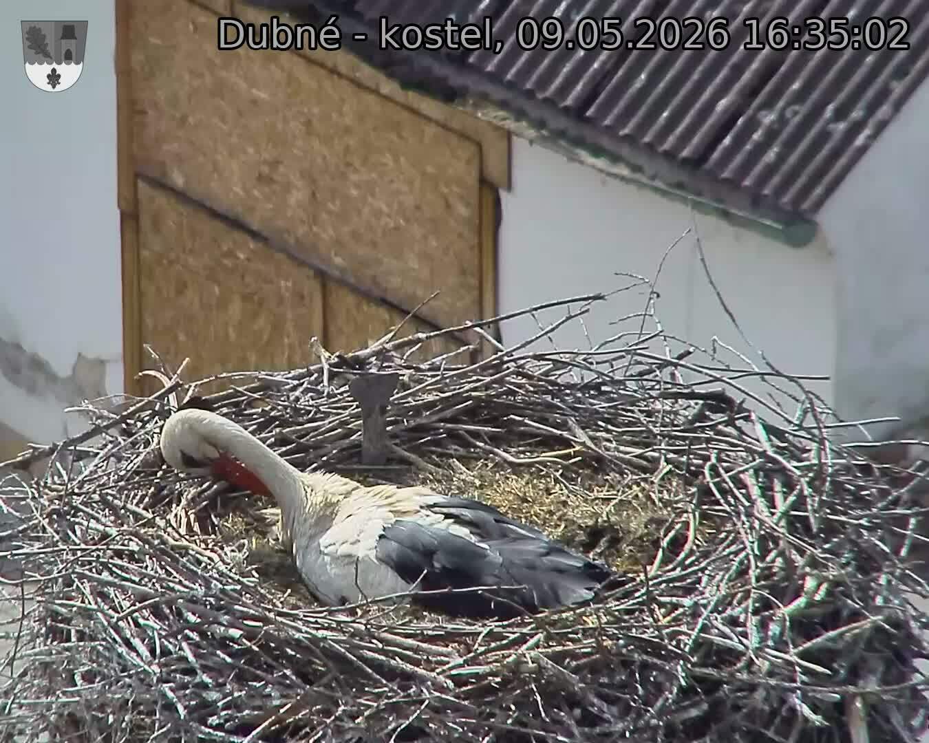 Capi_Dubne_20260509_163502.jpg (1350&nbsp;x&nbsp;1080)