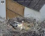 Capi_Dubne_20260509_165503.jpg