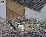 Capi_Dubne_20260509_170003.jpg