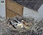 Capi_Dubne_20260509_170503.jpg