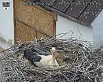 Capi_Dubne_20260509_171504.jpg