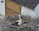 Capi_Dubne_20260509_172503.jpg