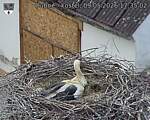 Capi_Dubne_20260509_173503.jpg