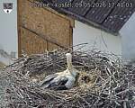 Capi_Dubne_20260509_174003.jpg
