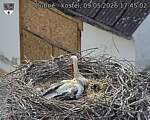 Capi_Dubne_20260509_174502.jpg