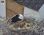 Capi_Dubne_20260509_175003.jpg