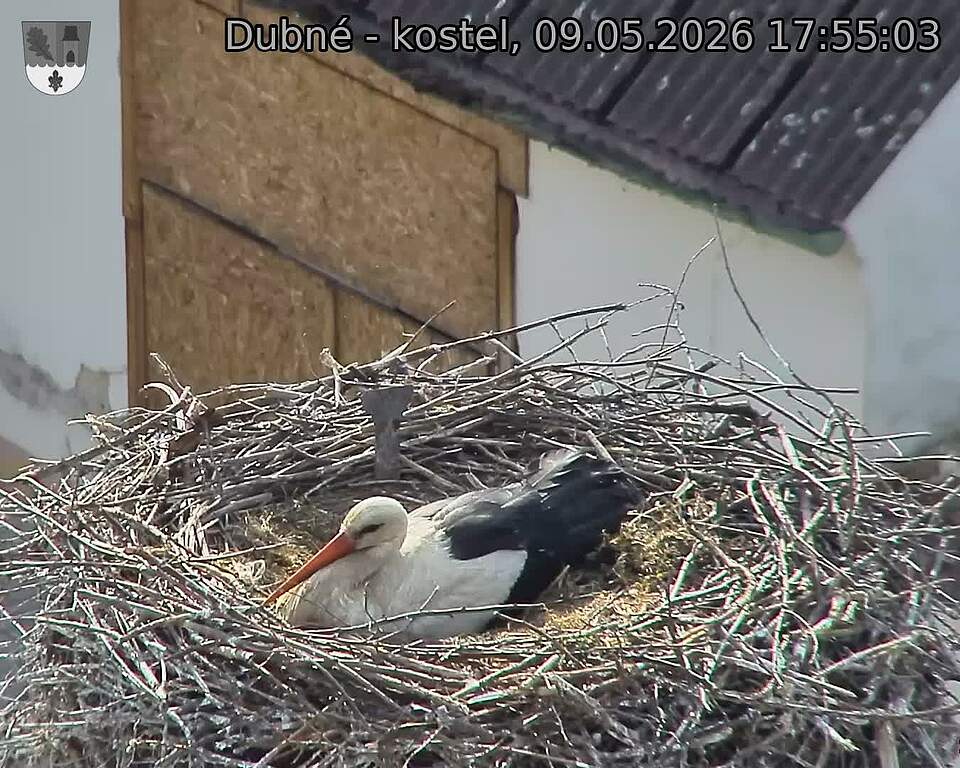 preload
