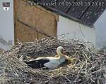 Capi_Dubne_20260509_182002.jpg