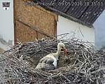 Capi_Dubne_20260509_183503.jpg