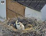 Capi_Dubne_20260509_190502.jpg