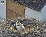 Capi_Dubne_20260509_191003.jpg