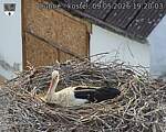 Capi_Dubne_20260509_192003.jpg