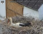 Capi_Dubne_20260509_193003.jpg