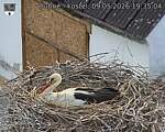 Capi_Dubne_20260509_193504.jpg