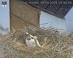 Capi_Dubne_20260509_194004.jpg