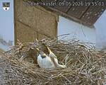 Capi_Dubne_20260509_195503.jpg