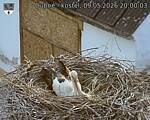 Capi_Dubne_20260509_200003.jpg