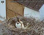 Capi_Dubne_20260509_200504.jpg