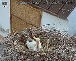 Capi_Dubne_20260509_201003.jpg