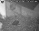 Capi_Dubne_20260509_212502.jpg