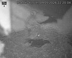 Capi_Dubne_20260509_222004.jpg
